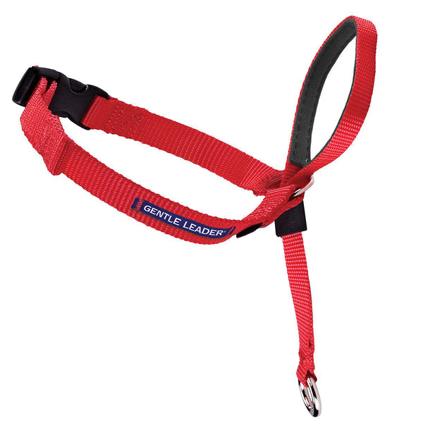 Petsafe Gentle Leader Headcollar, No-Pull Dog Collar