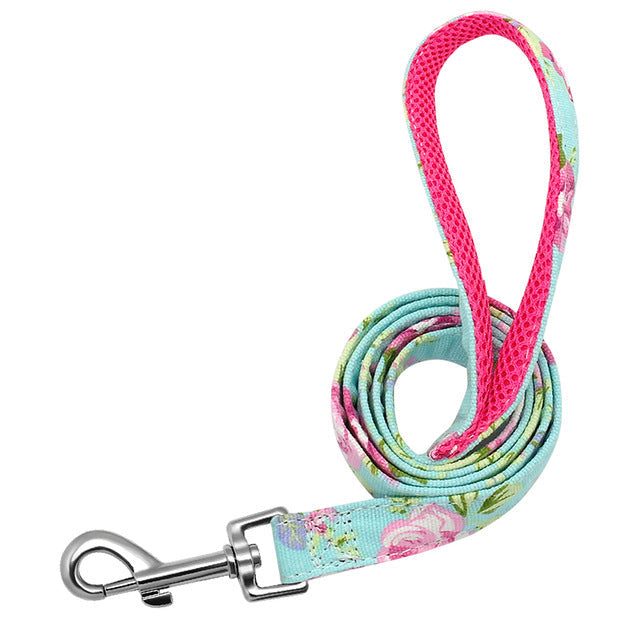 6 Colors Dog Leash