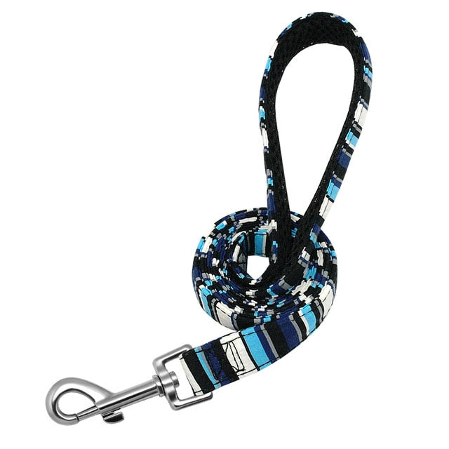 6 Colors Dog Leash