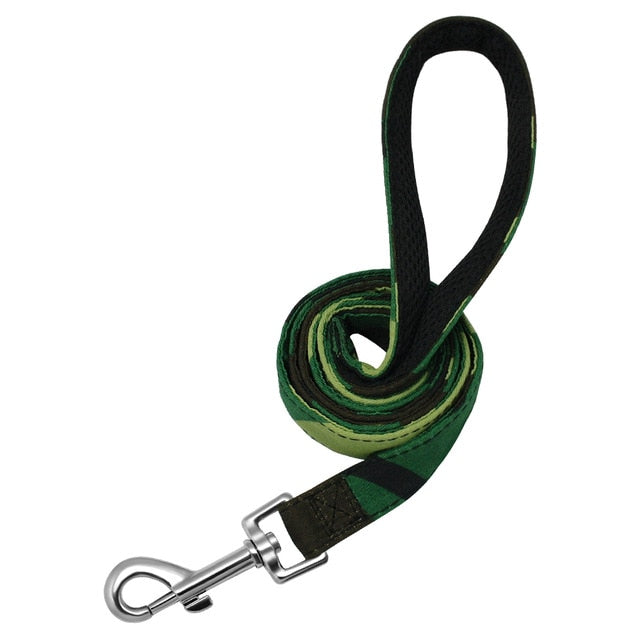 6 Colors Dog Leash