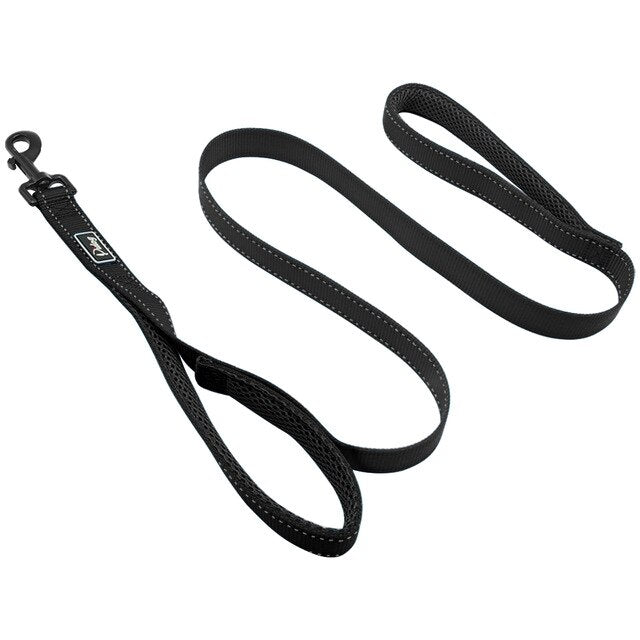 2 Handles Nylon Padded Double Handle Leash