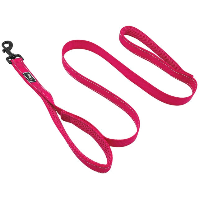 2 Handles Nylon Padded Double Handle Leash