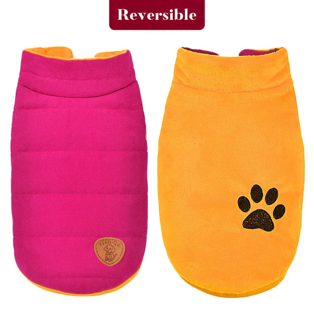 Winter Dog Jacket