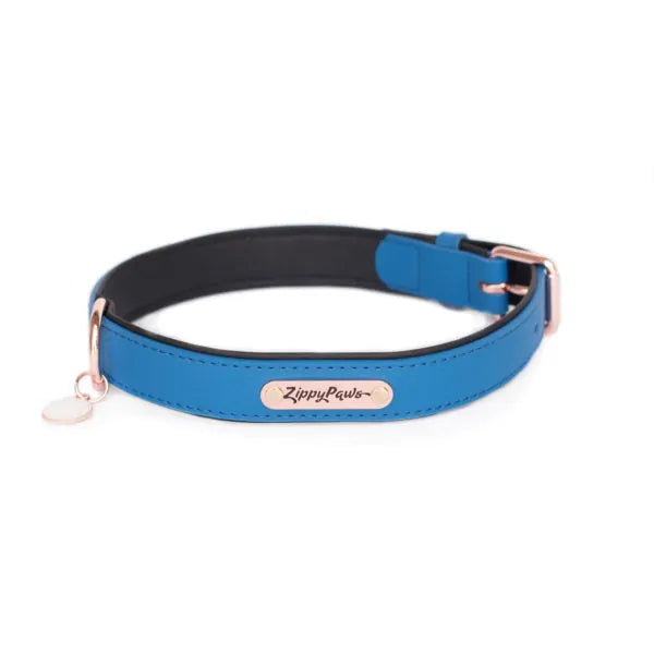 ZippyPaws Vivid Collection Collar