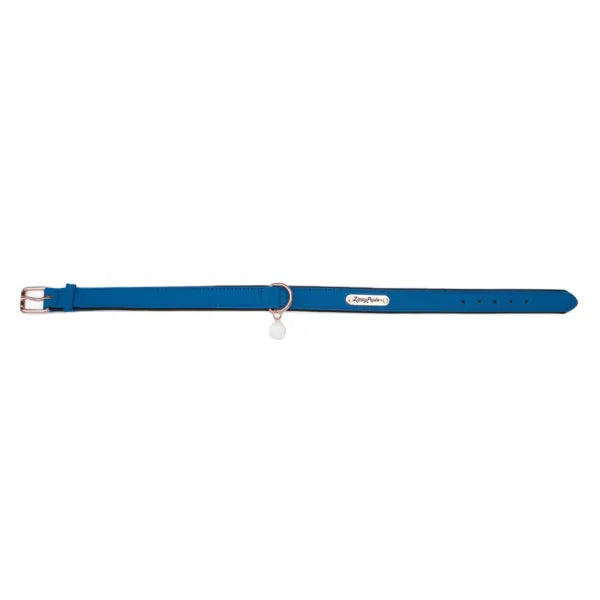 ZippyPaws Vivid Collection Collar